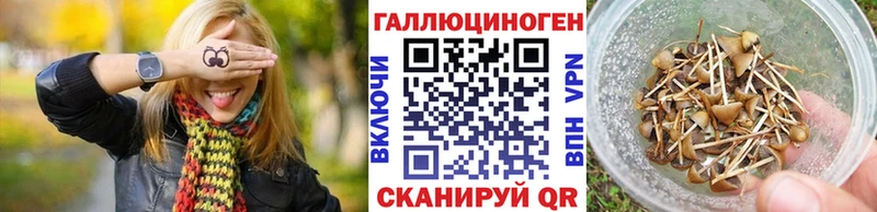 Псилоцибиновые грибы мицелий  МЕГА ONION  Каменск-Шахтинский 